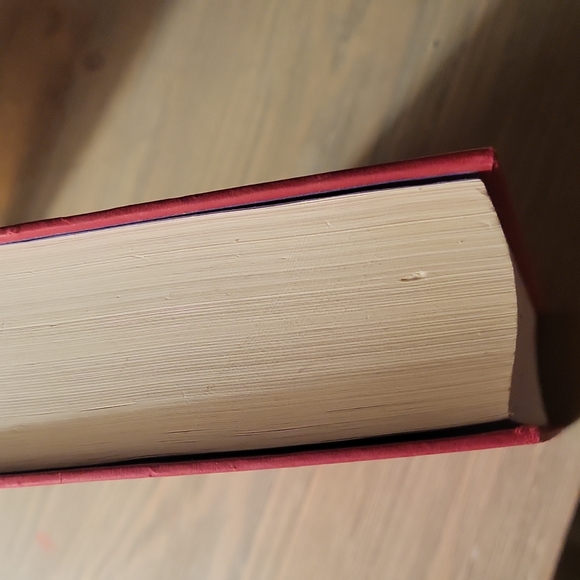 The Heros of Olympus: The Mark of Athena novel - Picture 5 of 5